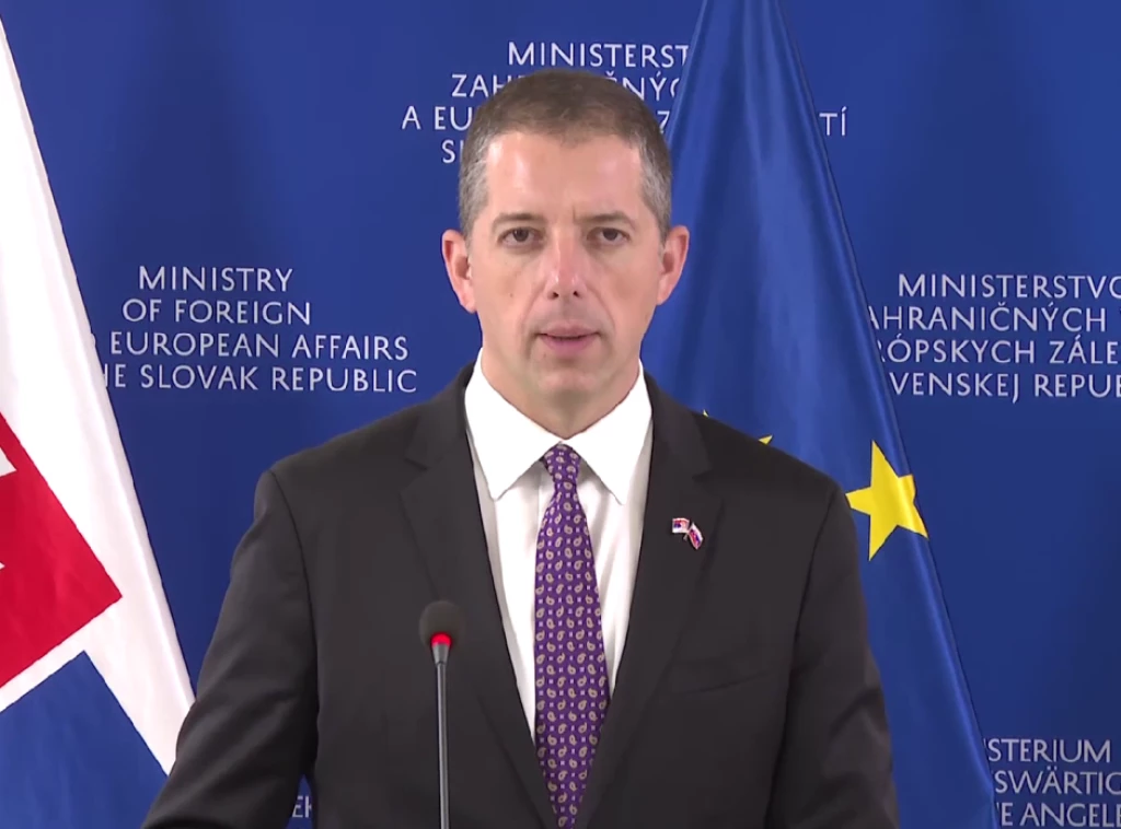 Ministar Đurić: Srbija budućnost vidi u EU, pitanje članstva u Uniji od nacionalnog značaja