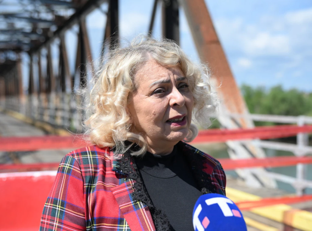 Sofronijević: Odluka o priznavanju na teritoriji EU novo poglavlje za vodni saobraćaj
