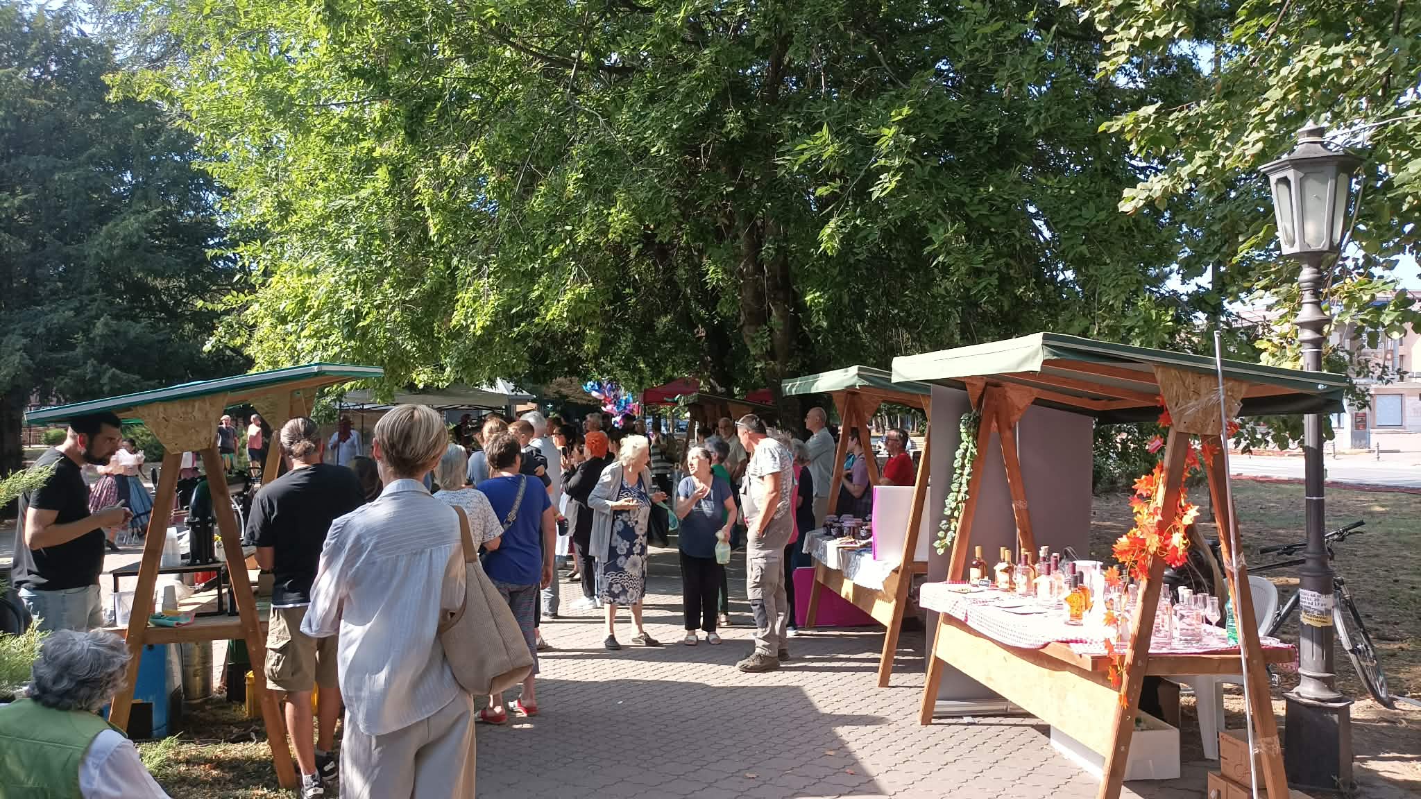 Festival mađarske kuhinje i tradicije okupio brojne posetioce u centru Vrbasa